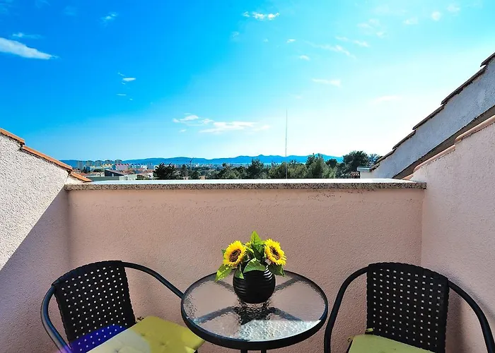 Lavandula Zadar