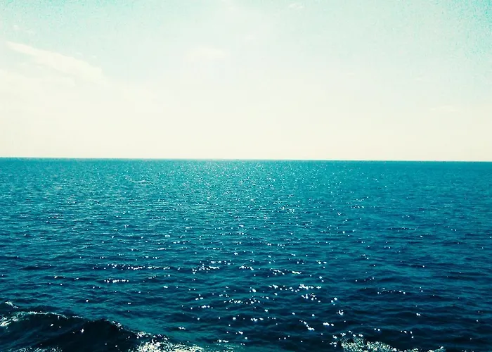 Lavandula זאדאר